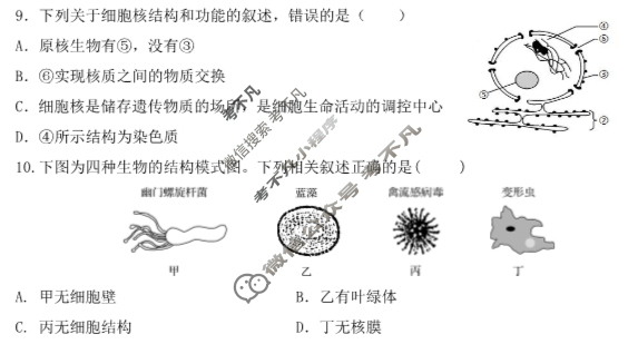 江苏省南京市2022-2023学年第一学期12月六校联合调研考试生物试题